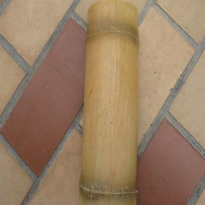 Bamboo simulado Noya 01 personalizado para decoração residencial Pacote Peso bruto 2.000kg