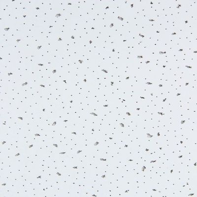 Revestimento por pulverização de azulejos de tecto de lã mineral acústica para decoração e isolamento de hotéis