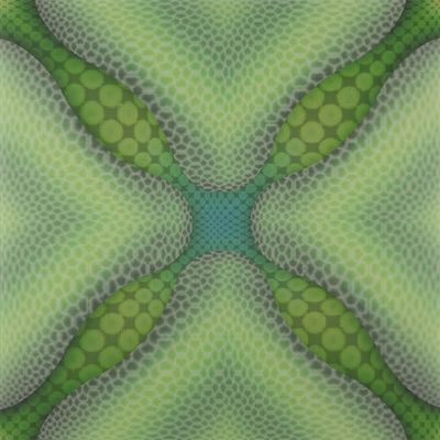 460mm*460mm Tamanho 3D PVC Painéis de parede/tecto plásticos para decoração de interiores Muitos projetos