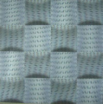 460mm*460mm Tamanho 3D PVC Painéis de parede/tecto plásticos para decoração de interiores Muitos projetos