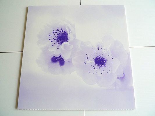 500mmx500mm impermeável 3D texturizado PVC parede / teto painéis personalizados e coloridos
