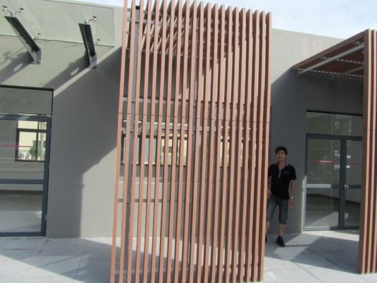 Cercas de pavimentação de madeira exterior de plástico composto WPC NY75 * 25 com padrão de grãos de madeira