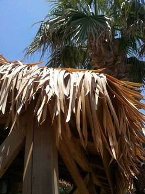 Palha de telhado sintético amarelo tropical africano personalizado para decoração de telhado na melhor das hipóteses