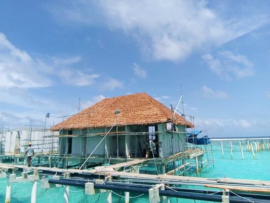 Prevenção de incêndio nunca desvanece telhas de telhado simples para simulação do ambiente telhado de palha