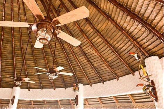 Resina sintética palha artificial africana para telhado ambiente de simulação em alta demanda