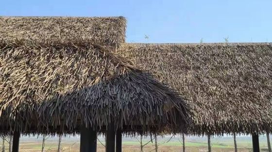 Decoração de telhado de palha com característica de nunca desbotar e longa vida útil