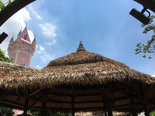 Peças de telhado de palha de PVC personalizadas para bares de jardim / beira-mar Fácil de instalar e manter