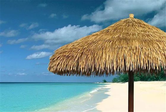Design de paisagem de jardim durável Decorativo PVC telhados de palha com personalização