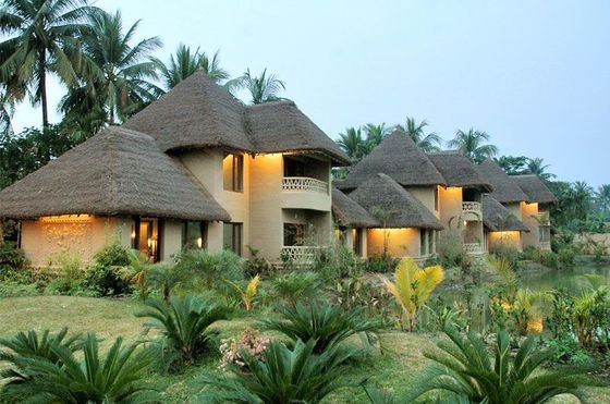 Atualização para Noya Recanto de palha 1000 * 600mm para Tiki Roofing de palha artificial