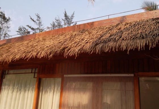 Solução de telhado de hotel Anti-UV Folhas de palma sintéticas Paisagem de telhado com material de nylon