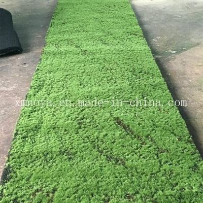Plantas artificiais de grama verde personalizadas de plástico para decoração interna e decoração residencial