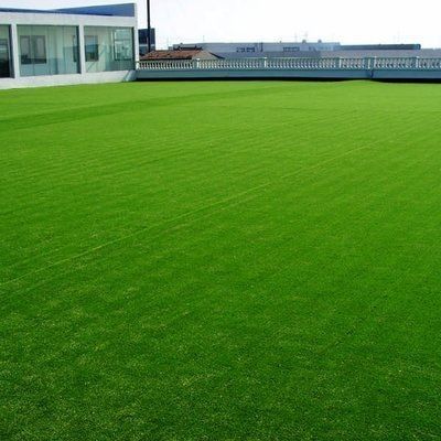 Carpete verde sintético de forma de fio curvado de classe internacional para interiores e exteriores