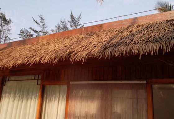 100% de tecto de palha artificial de PVC realista e ecológico