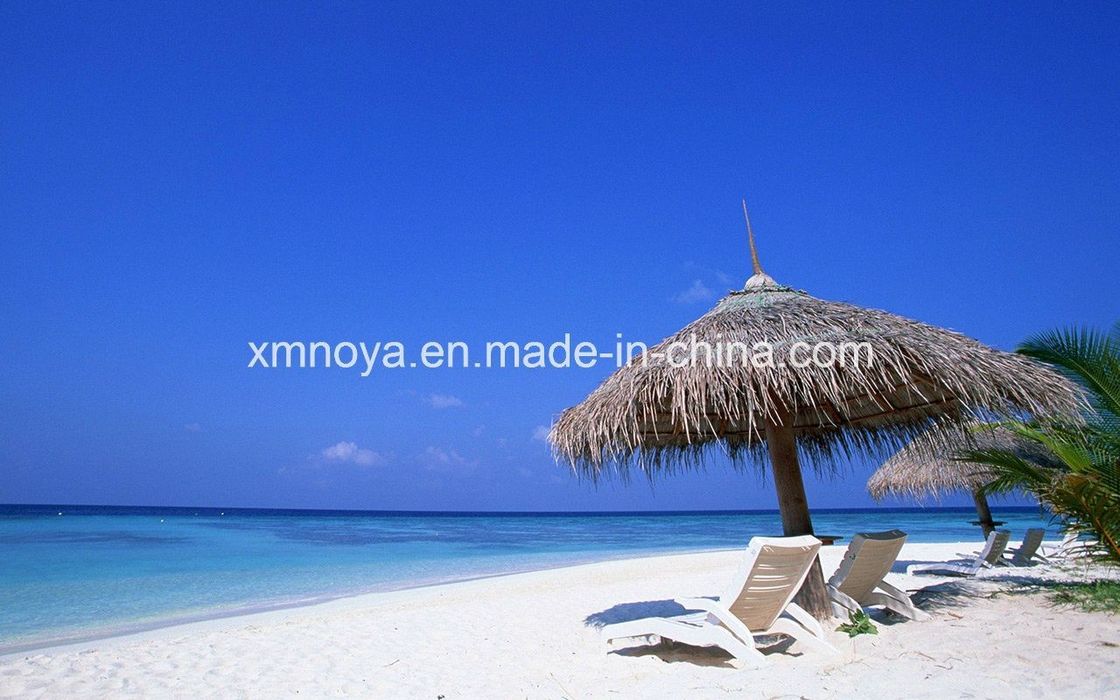 Material de telhado de palha impermeável personalizado para praia sintético e tamanho personalizado